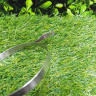 Лента тормоза на STIHL MS 440,460 (1128-160-5400) FarmerTec PJ44041 Лента тормоза на STIHL MS 440,460 (1128-160-5400) FarmerTec PJ44041