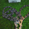 Цепь для бензопилы STIHL 3/8-1,3-62 звена 3617-006-0062 Цепь для бензопилы STIHL 3/8-1,3-62 звена 3617-006-0062