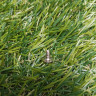 Винт P3x6 (4223-084-5600) FarmerTec TD03060A