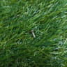 Винт P3x6 (4223-084-5600) FarmerTec TD03060A