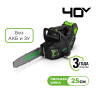 Аккумуляторная пила Greenworks 40В GT40TCS (арбориста) 25 см, без АКБ Аккумуляторная пила Greenworks 40В GT40TCS (арбориста) 25 см, без АКБ