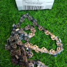 Цепь на пилу STIHL 3/8-1,3-45 звеньев 3617-006-0045 Цепь на пилу STIHL 3/8-1,3-45 звеньев 3617-006-0045