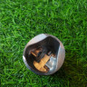 Поршень воздуходувки STIHL BG 56 34мм. 4241-030-2008 Поршень воздуходувки STIHL BG 56 34мм. 4241-030-2008